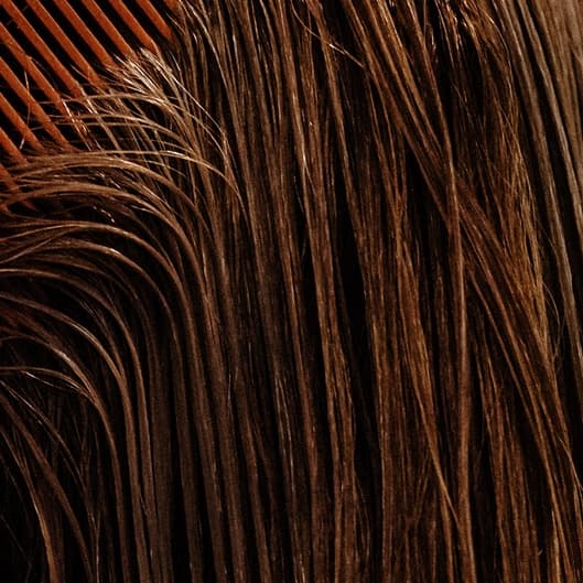 Pixie Maintenance Club at It’s Still Hair in Owings Mills, MD